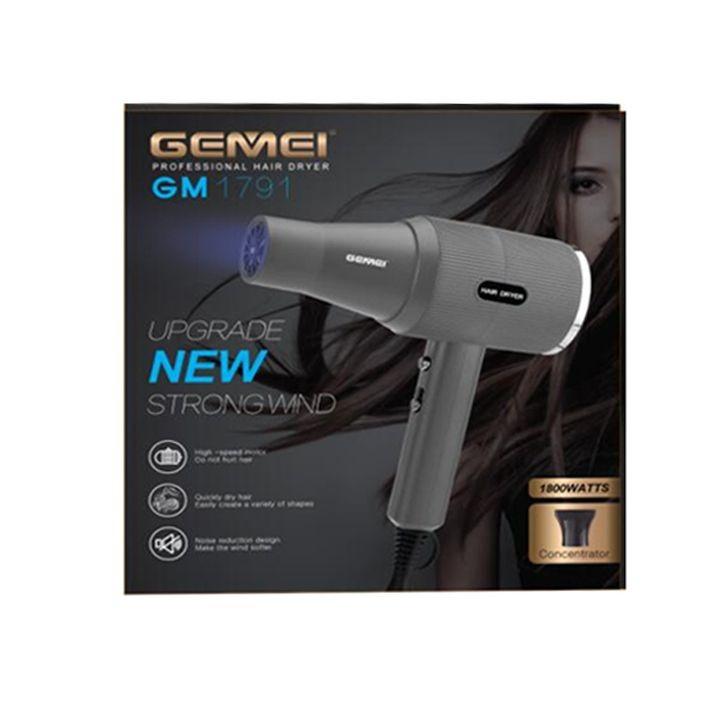Gemei Professional Hair Dryer 